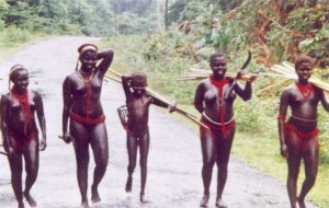 andaman arquipelago