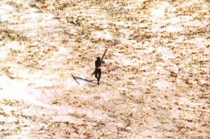 sentinela do norte ilha